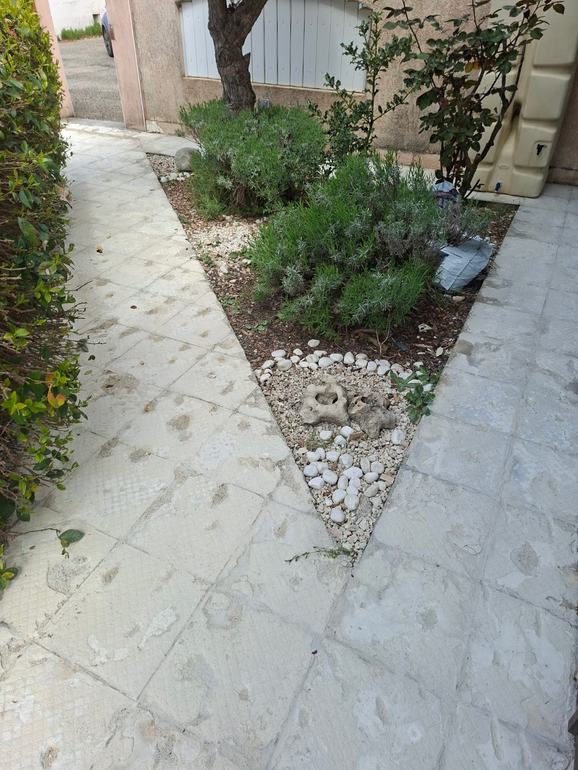 Terrasse avant rénovation avec ancien revêtement extérieur